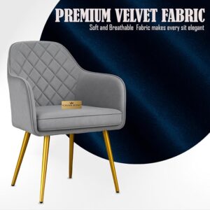 Barfi Velvet Dining Chair | Set of 2 Premium Accent Chair with Armrest, Padded Seat and Metal Legs | Comfy Chair for Home, Office & Restaurents | (Light Grey with Puffy)